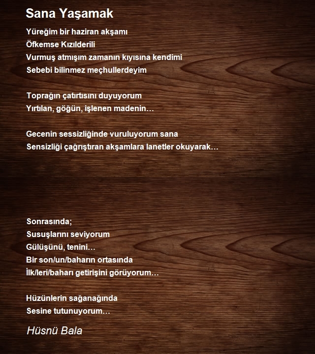 Hüsnü Bala