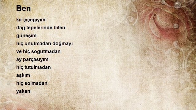 Nilüfer Velieceoğlu
