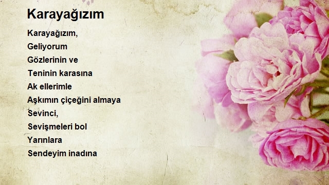 Nilüfer Velieceoğlu