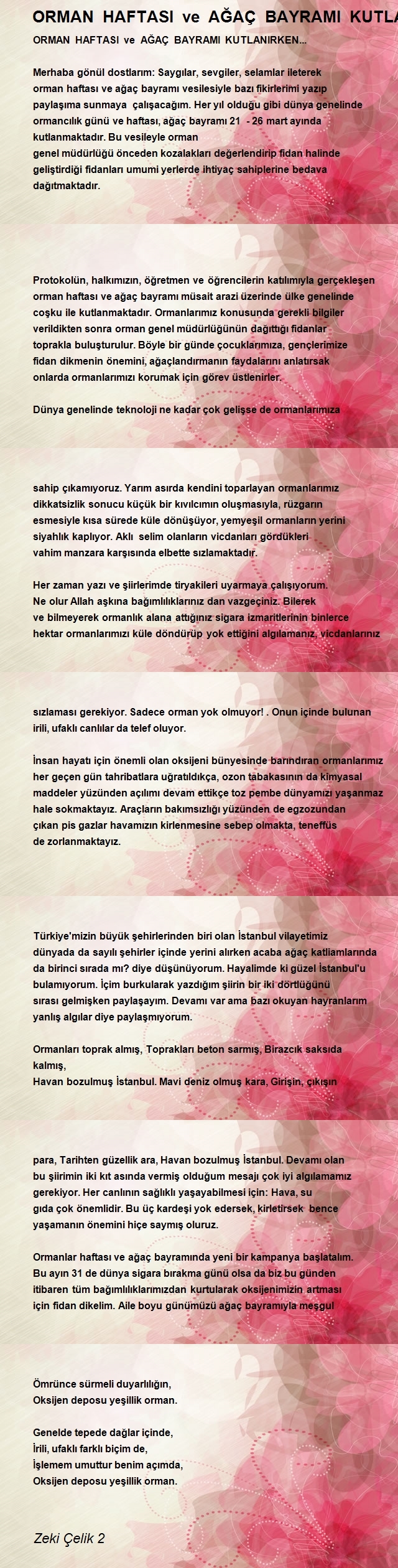 Zeki Çelik 2