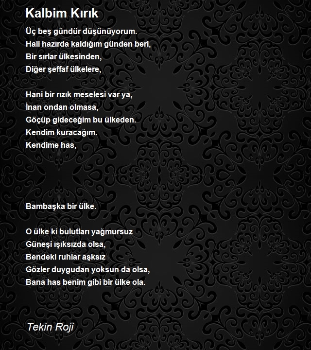 Tekin Roji