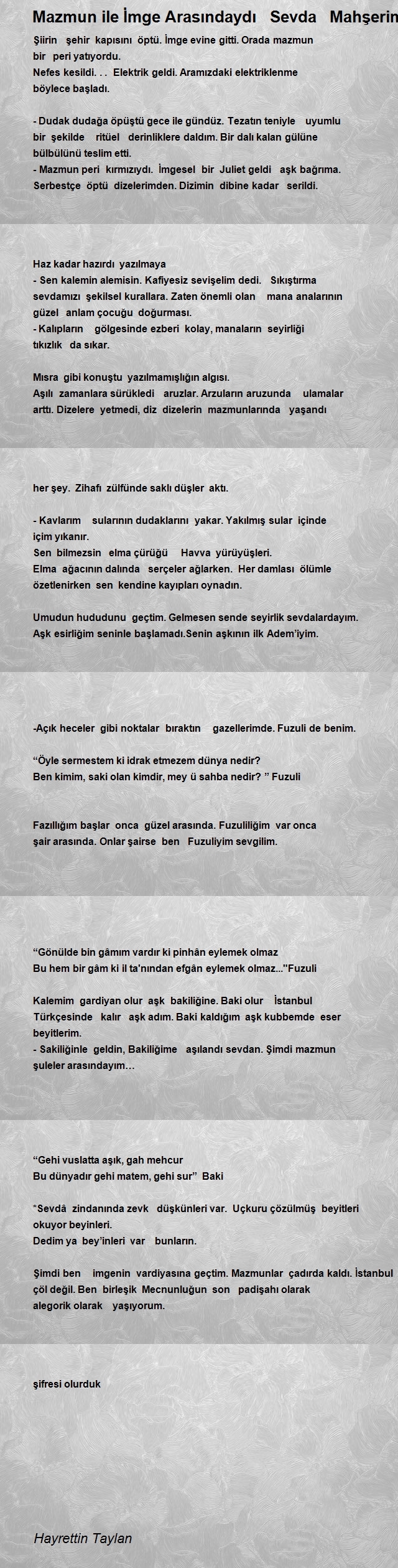 Hayrettin Taylan