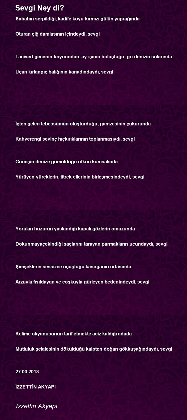 İzzettin Akyapı