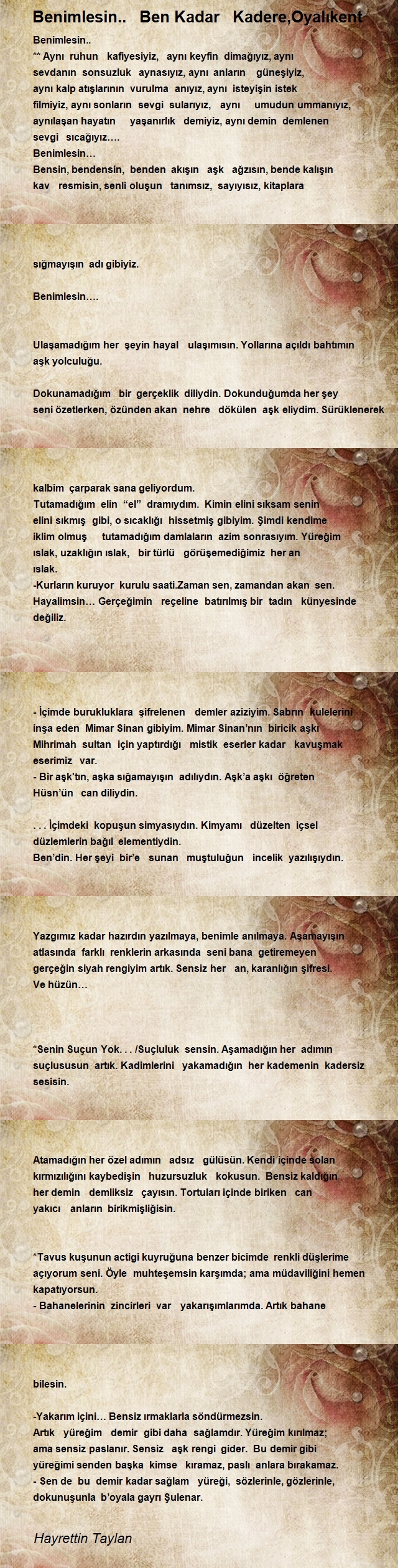 Hayrettin Taylan
