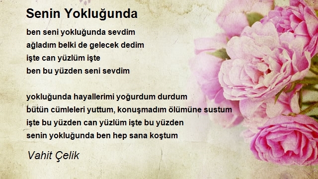 Vahit Çelik
