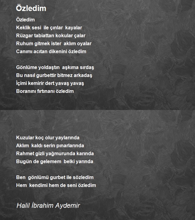 Halil İbrahim Aydemir