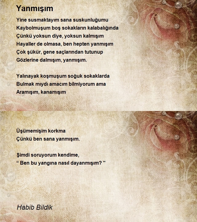 Habib Bildik