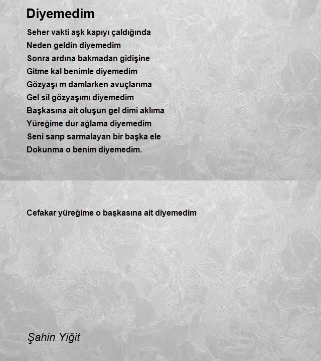 Şahin Yiğit