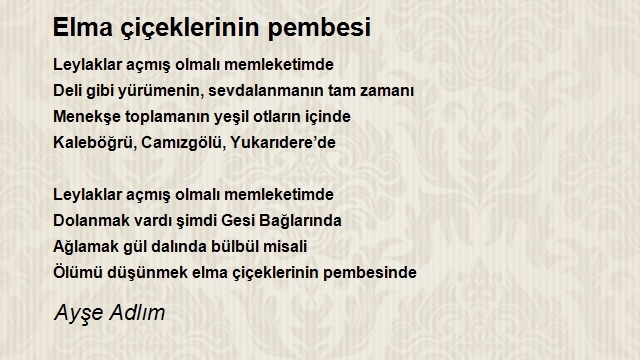 Ayşe Adlım