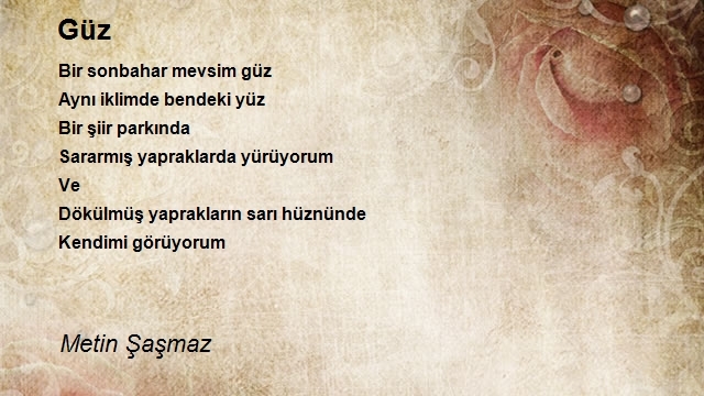 Metin Şaşmaz