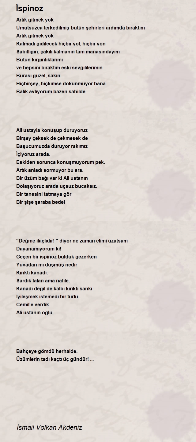 İsmail Volkan Akdeniz