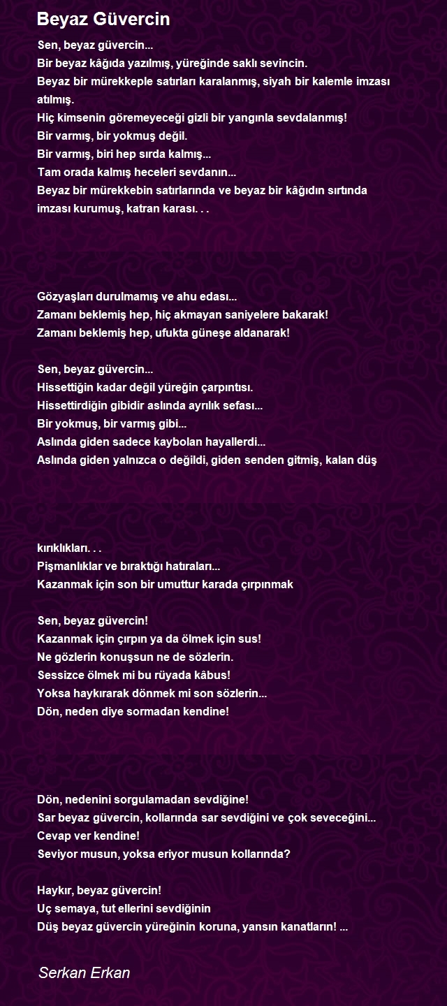 Serkan Erkan