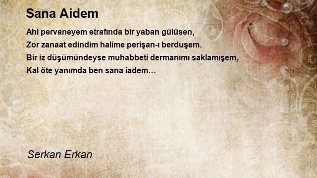 Serkan Erkan