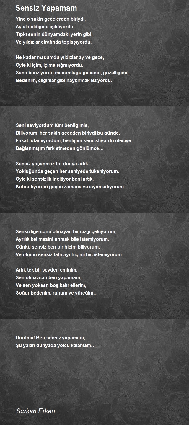 Serkan Erkan