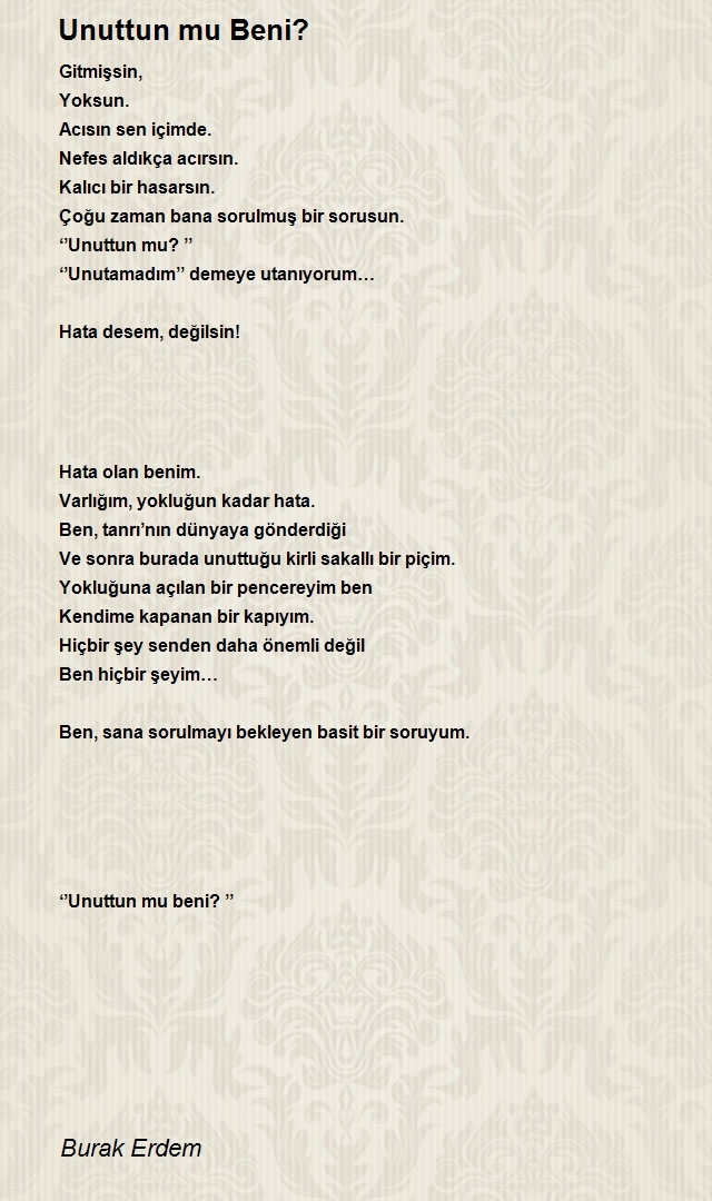 Burak Erdem