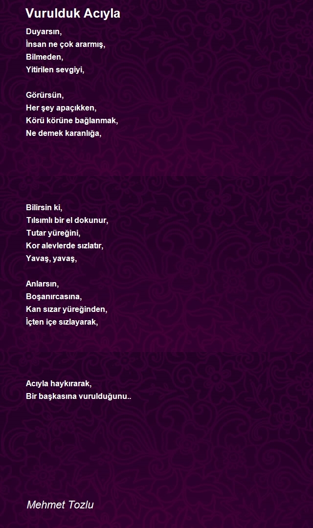 Mehmet Tozlu