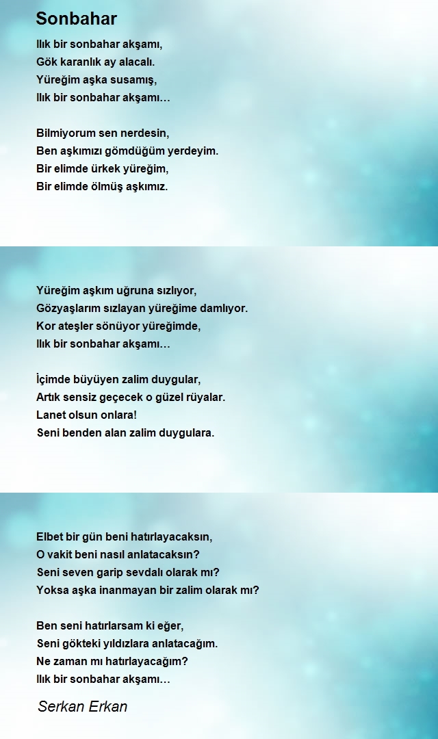 Serkan Erkan