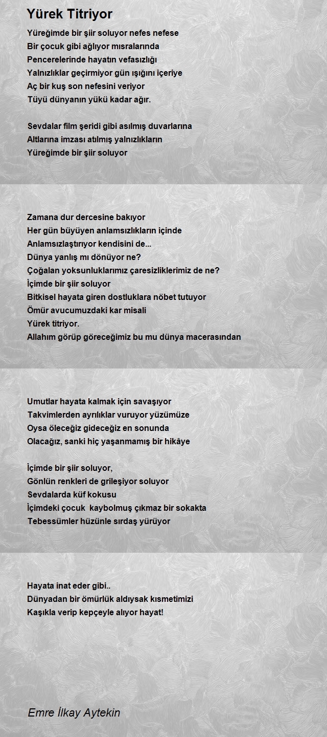 Emre İlkay Aytekin