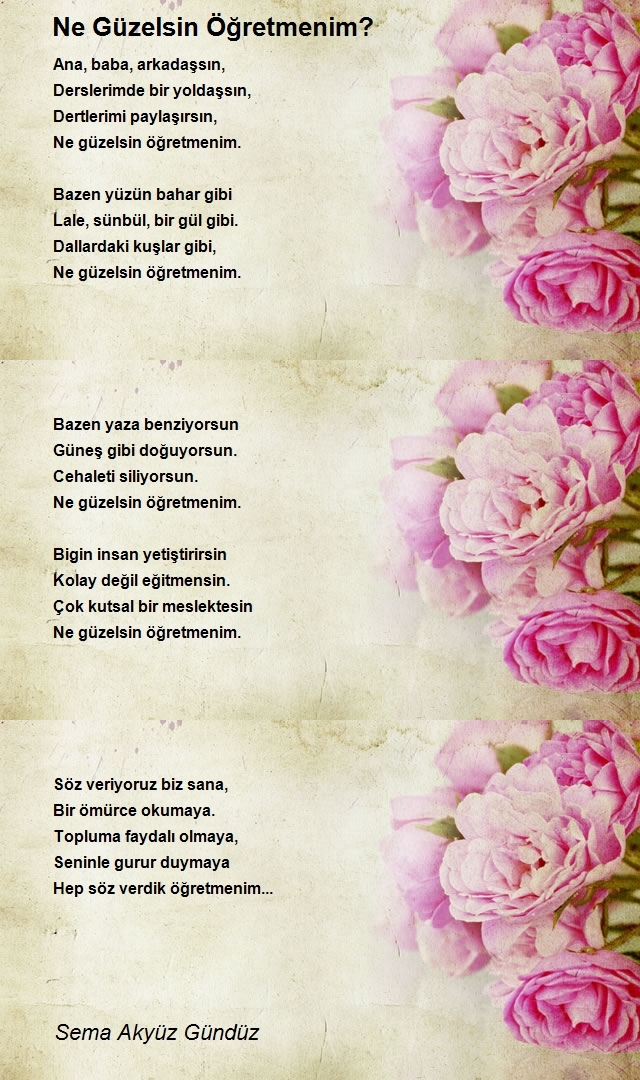 Sema Akyüz Gündüz