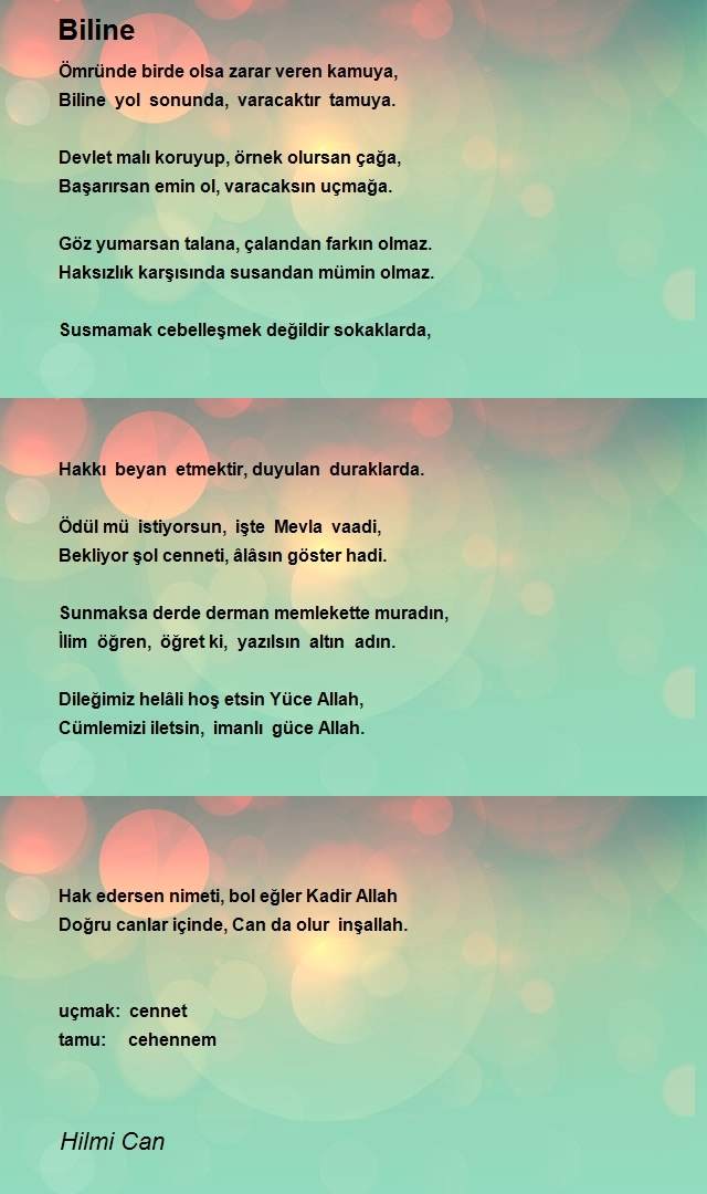 Hilmi Can