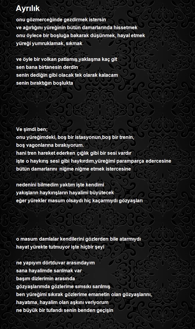 Hayal Roman 2