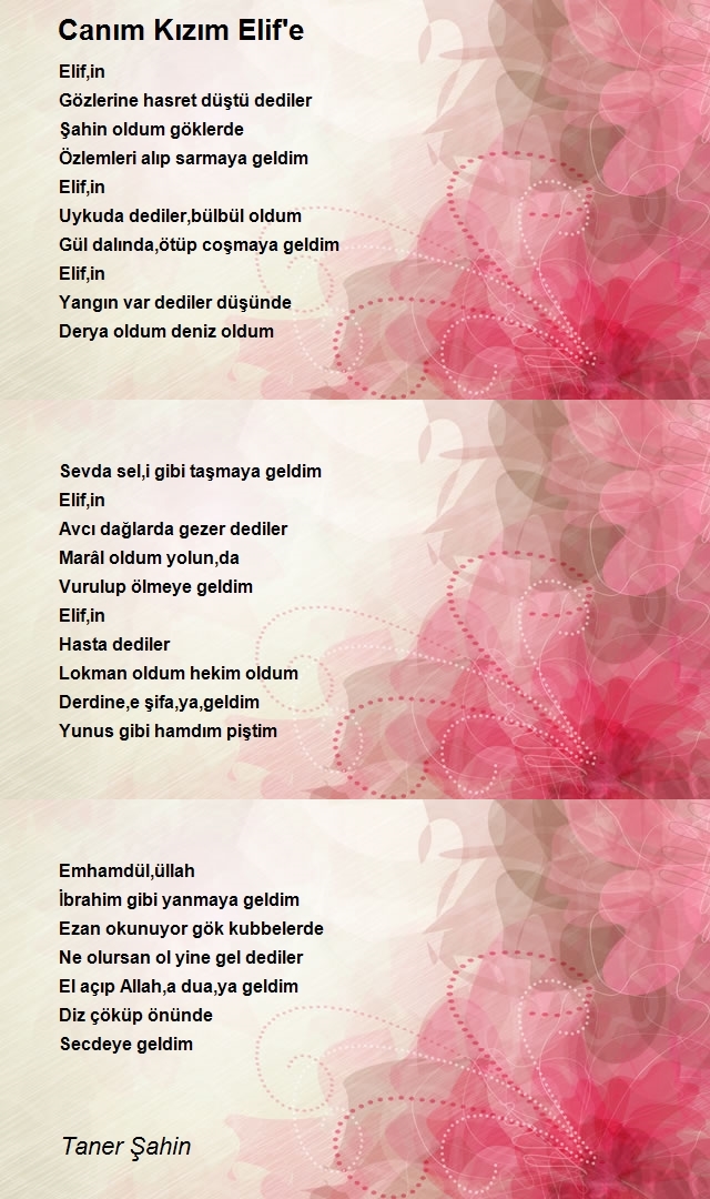 Taner Şahin