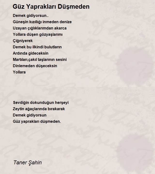 Taner Şahin