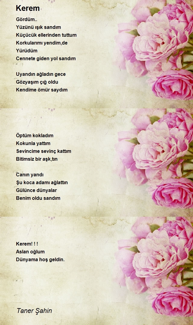 Taner Şahin