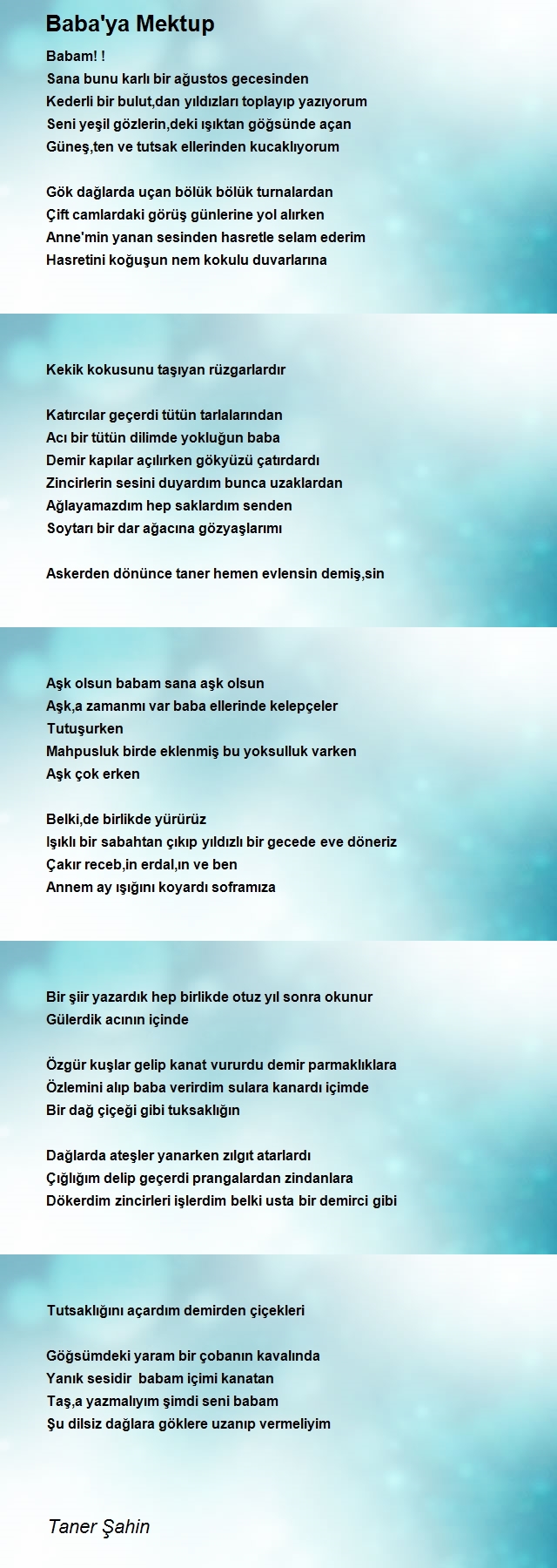 Taner Şahin