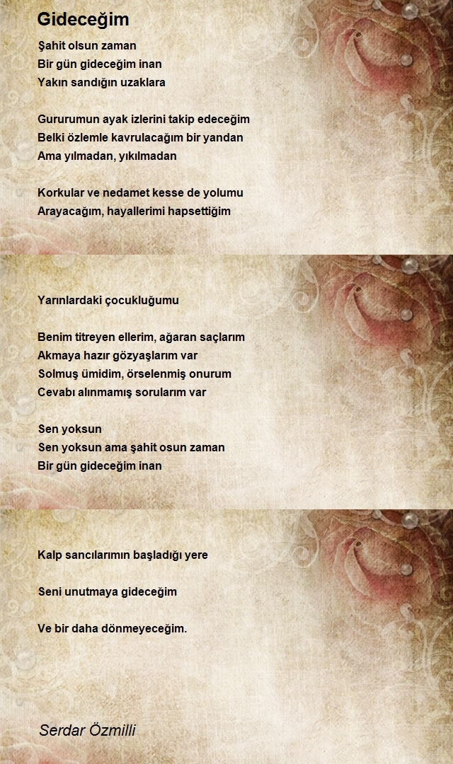 Serdar Özmilli