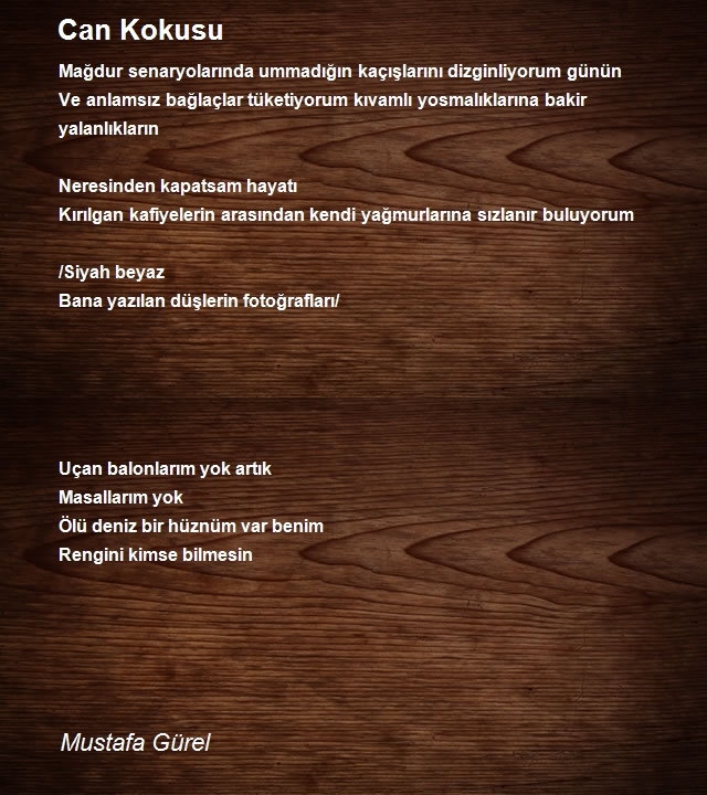 Mustafa Gürel