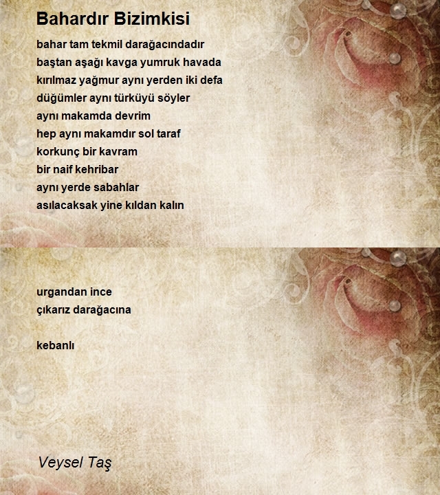 Veysel Taş