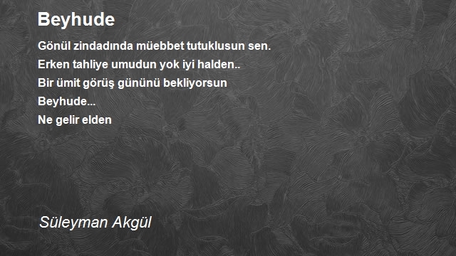 Süleyman Akgül