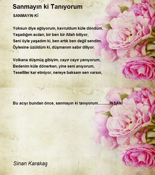 Sinan Karakaş
