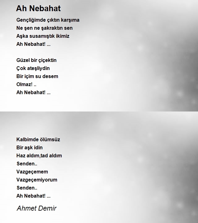 Ahmet Demir