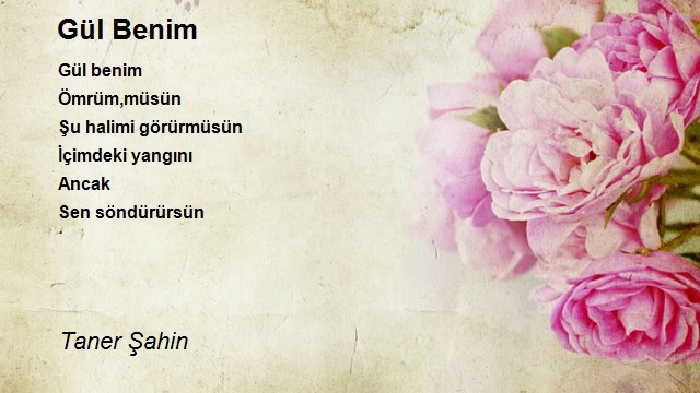 Taner Şahin