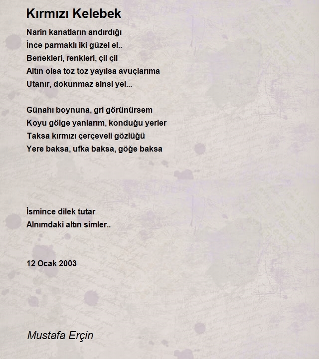 Mustafa Erçin