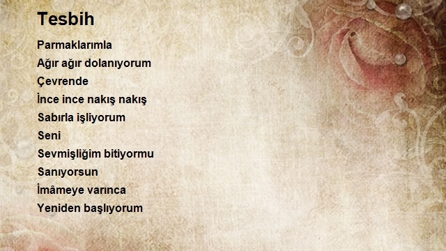 Taner Şahin