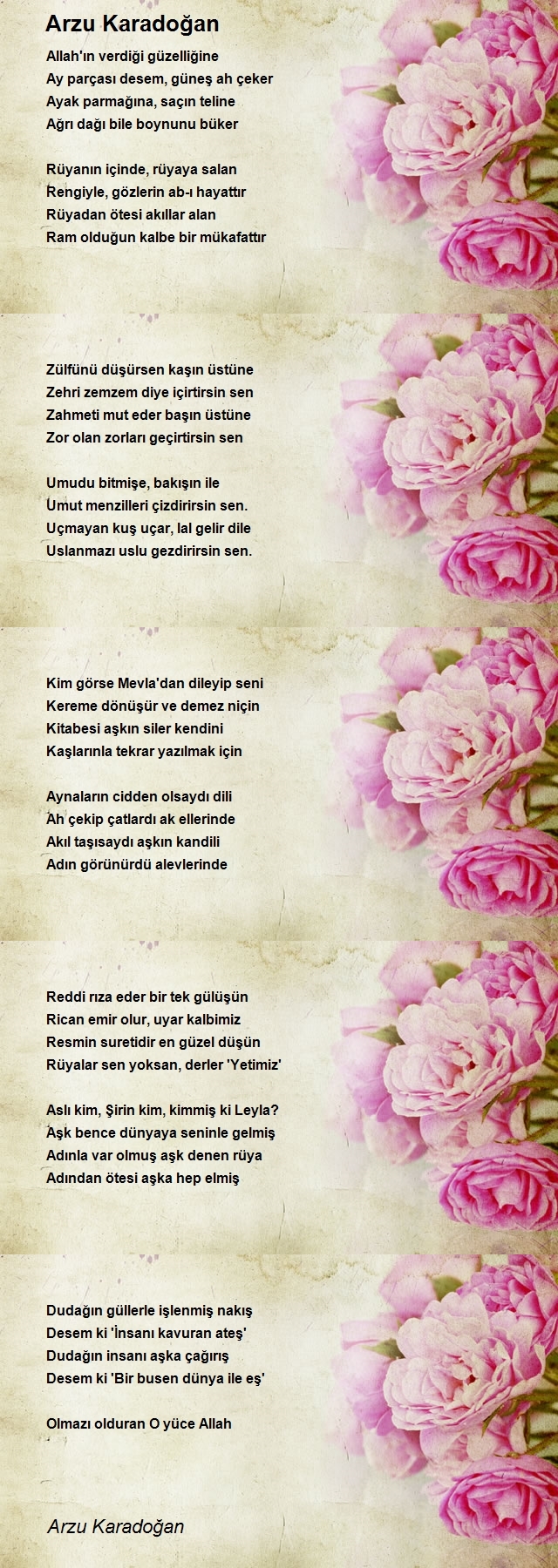 Arzu Karadoğan