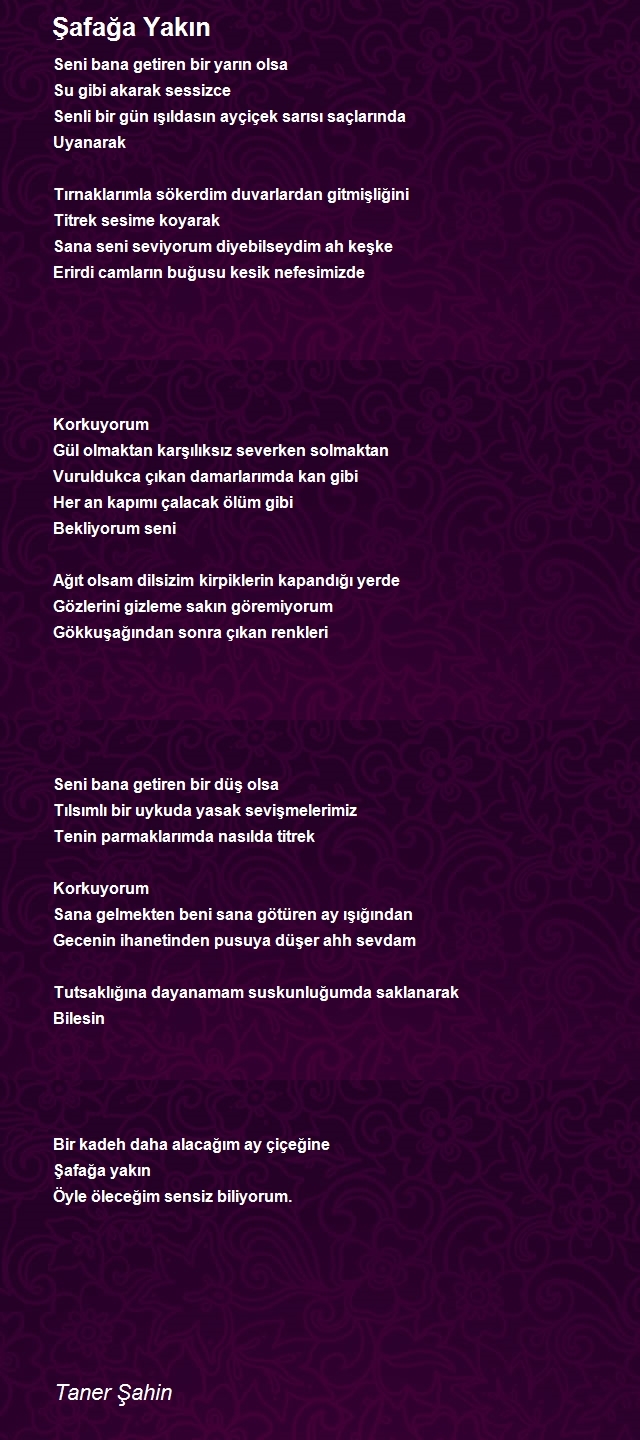 Taner Şahin