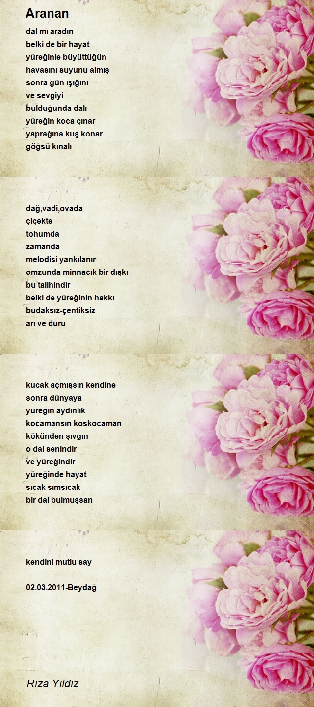 Rıza Yıldız