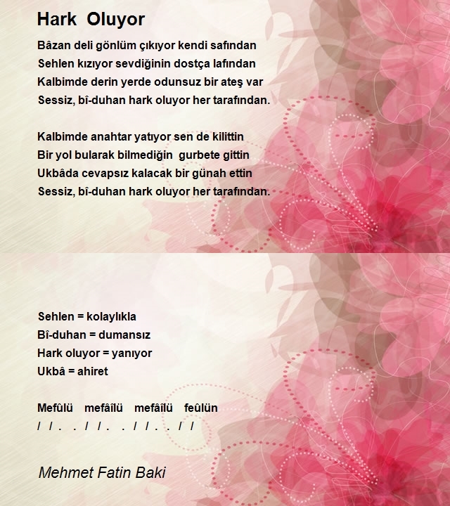 Mehmet Fatin Baki