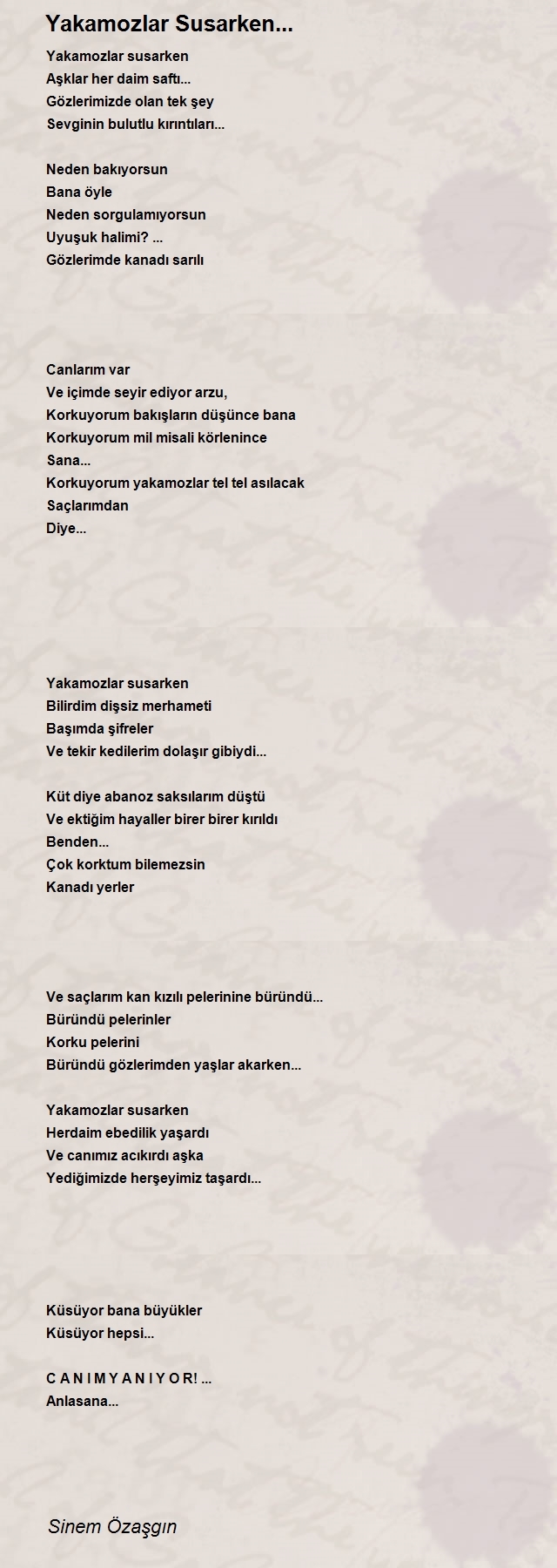 Sinem Özaşgın