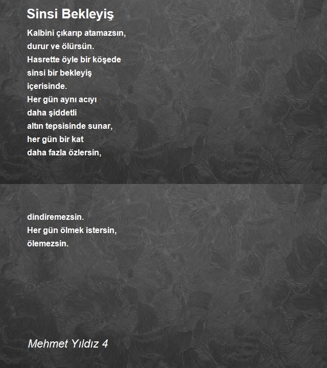 Mehmet Yıldız 4