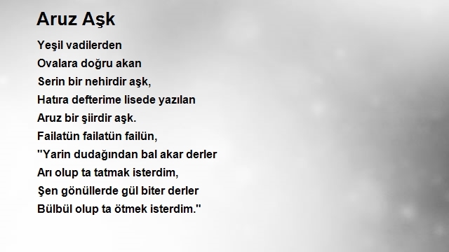 Yaşar Turgut Bilgin