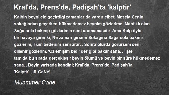 Muammer Cane