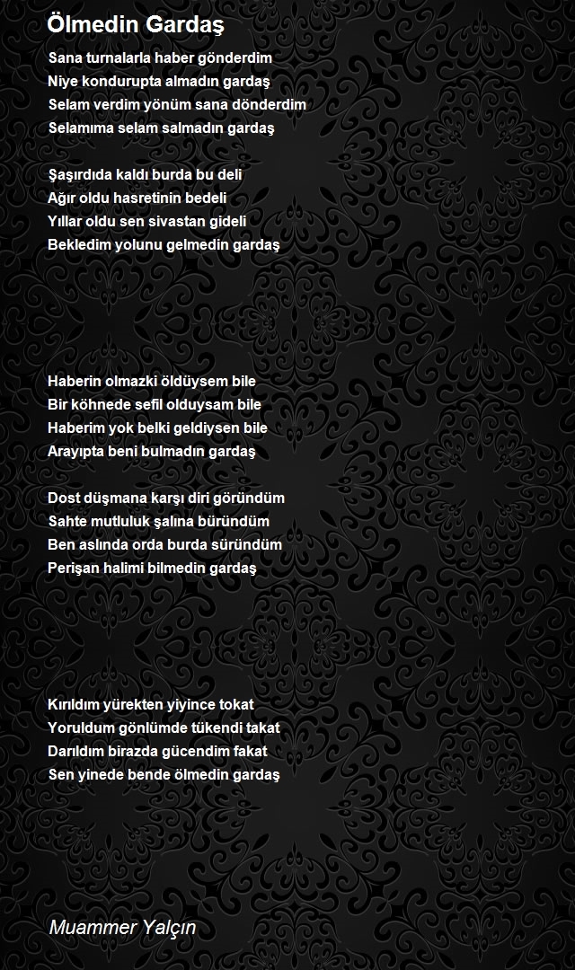 Muammer Yalçın