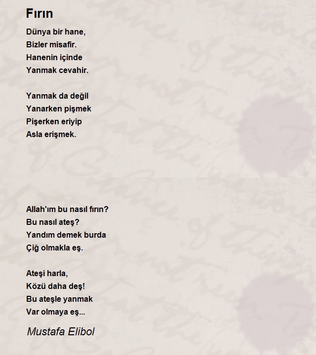 Mustafa Elibol