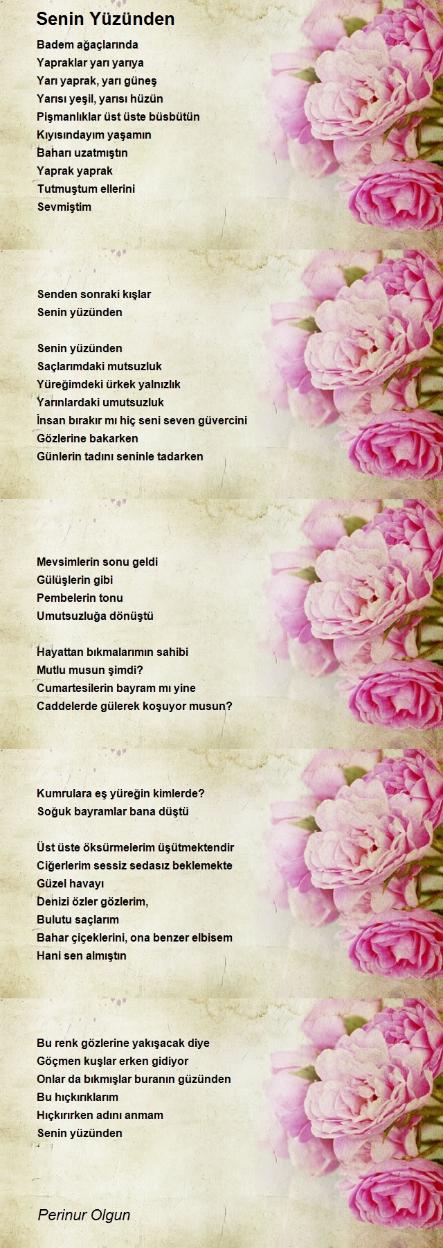 Perinur Olgun
