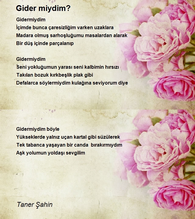 Taner Şahin